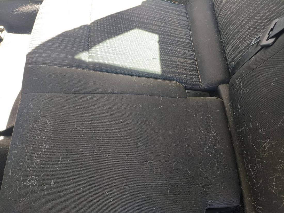 Tierhaare und Verschmutzungen auf einem Autositz vor der Reinigung